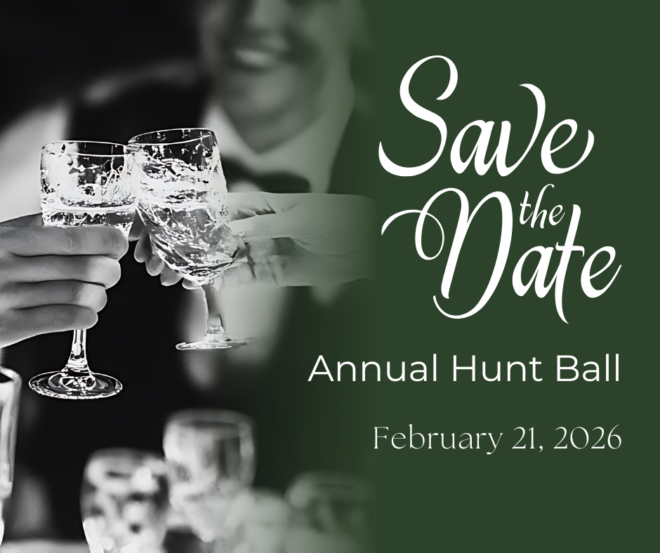 GCH Hunt Ball